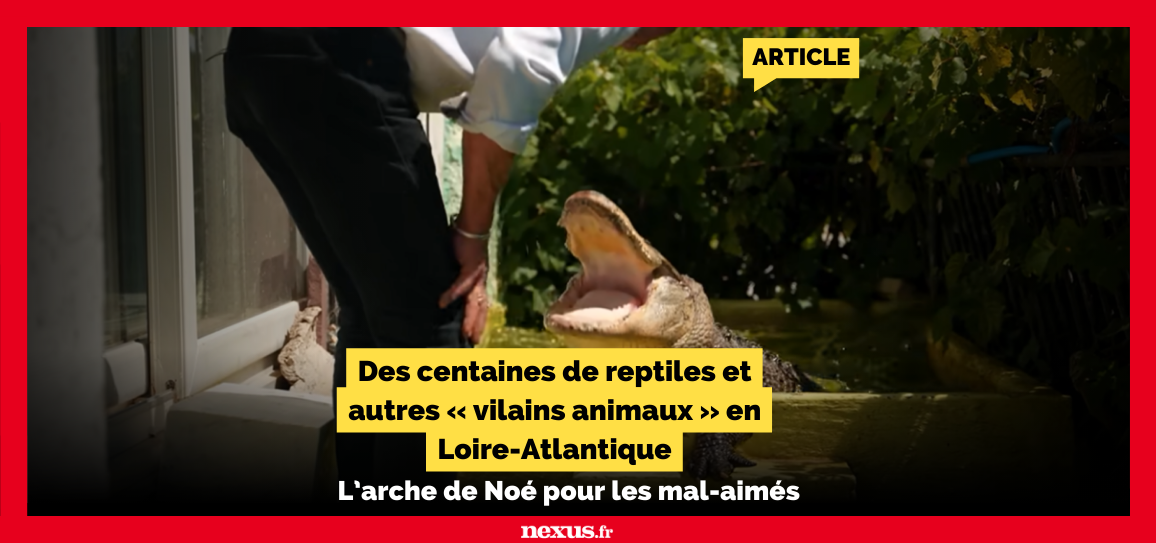 Des centaines de reptiles et autres « vilains animaux » en Loire-Atlantique L’arche de Noé pour les mal-aimés