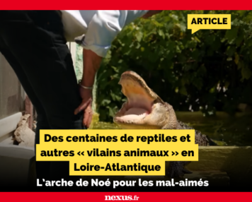 Des centaines de reptiles et autres « vilains animaux » en Loire-Atlantique L’arche de Noé pour les mal-aimés