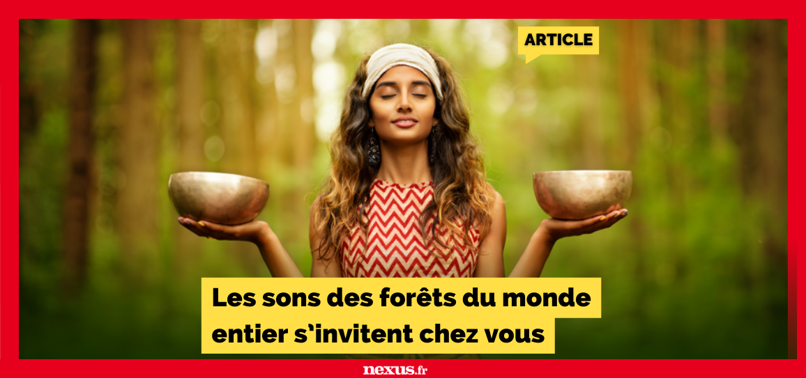 Les sons des forêts du monde entier s’invitent chez vous