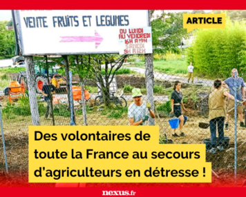 Des volontaires de toute la France au secours d’agriculteurs en détresse !