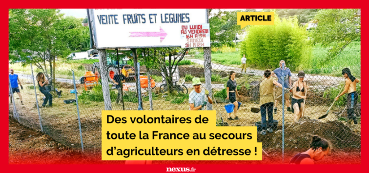 Des volontaires de toute la France au secours d’agriculteurs en détresse !